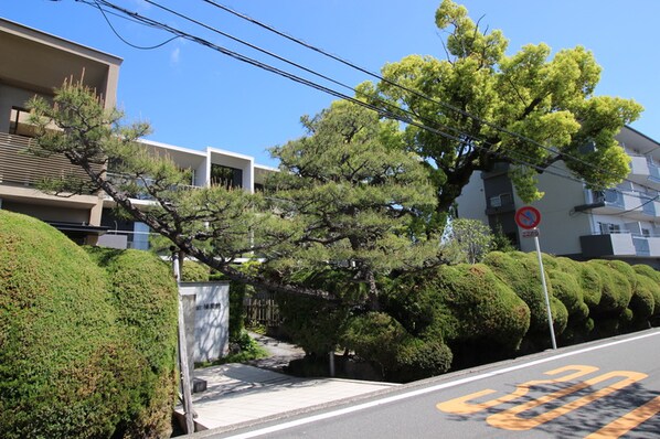 ＡＰＡＲＴＭＥＮＴ樟風館の物件外観写真